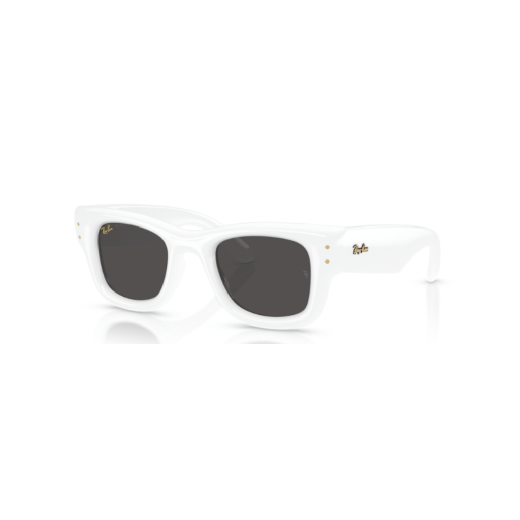 Ray-Ban 4940 WAYFARER PUFFER